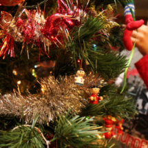 Los chicos de la casa, decorando el árbol de Navidad.