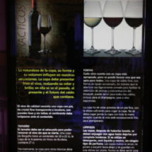 Museo del Vino de Peñafiel: la copa