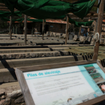 Carteles explicativos en la piscifactoría del Valle del Jerte