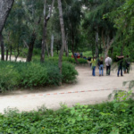 Parque Quinta de los Molinos, en Madrid