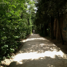 Descubrimos el parque Quinta de los Molinos, en Madrid