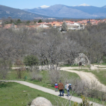 Cañada Real, centro de recuperación de fauna ibérica