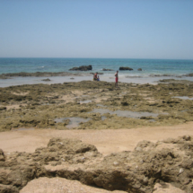 Playas de Bolonia, en Cádiz