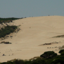 Vista de la duna de Bolonia, en Cádiz