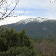 La Sierra de Madrid nevada es otra de las invernales estampas de esta ruta