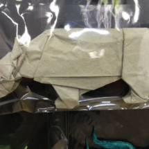 Rinoceronte de origami
