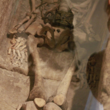 En el Museo de Segovia, los niños pueden ver un esqueleto humano
