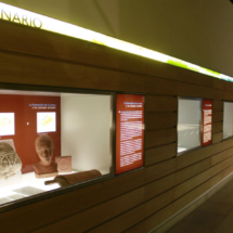 Detalle de la exposición permanente del Museo de Segovia