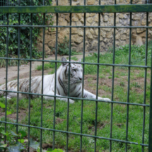Zoo de Santillana del Mar