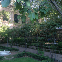 La tranquilidad reina en el Jardín del Príncipe de Anglona, en Madrid