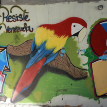 Graffiti en los alrededores de la Laguna del Campillo