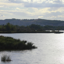 La Laguna del Campillo es de origen artificial