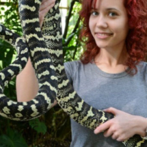 Abrazar a una serpiente es posible en el Zoo de Madrid