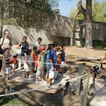 Actividades con animales en el Zoo de Madrid