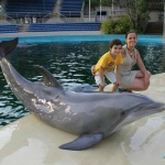 Foto con un delfín en el Zoo de Madrid