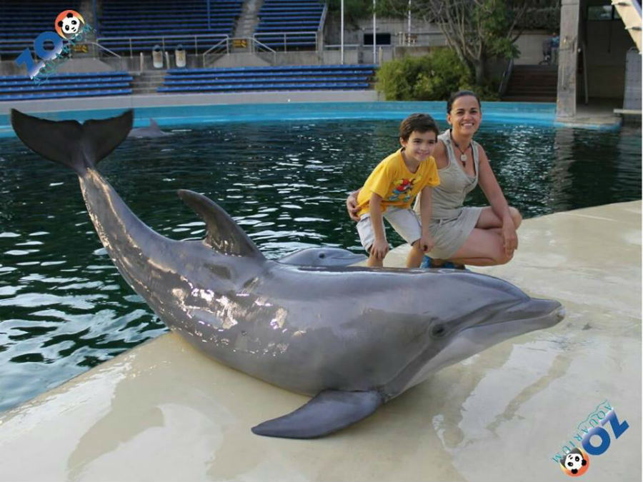 Foto con un delfín en el Zoo de Madrid