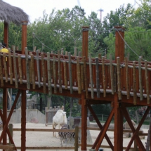 El Mirador de la Sabana es un puente colgante desde donde acercarse a la fauna de la sabana.