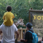 Visitamos el Zoo de Madrid con los niños