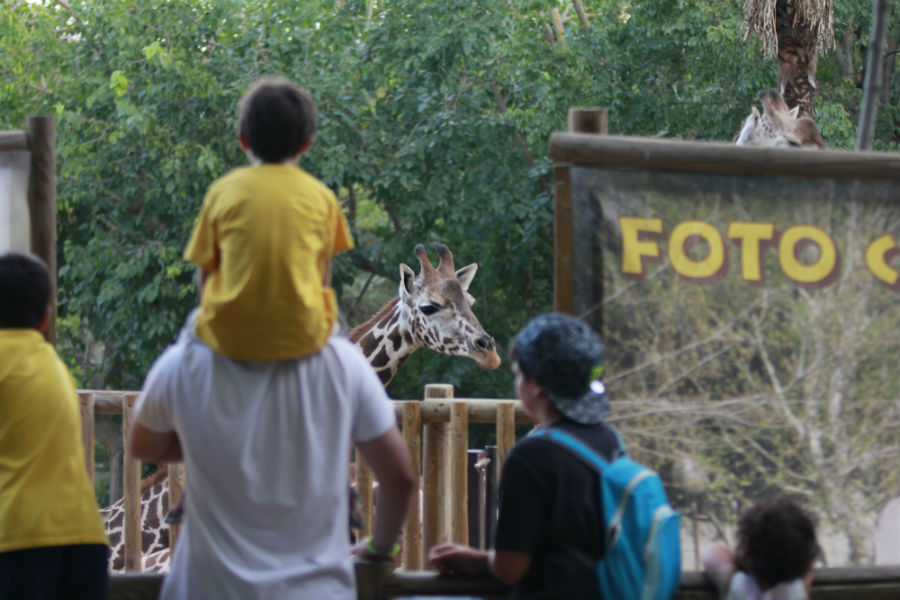 Visitamos el Zoo de Madrid con los niños