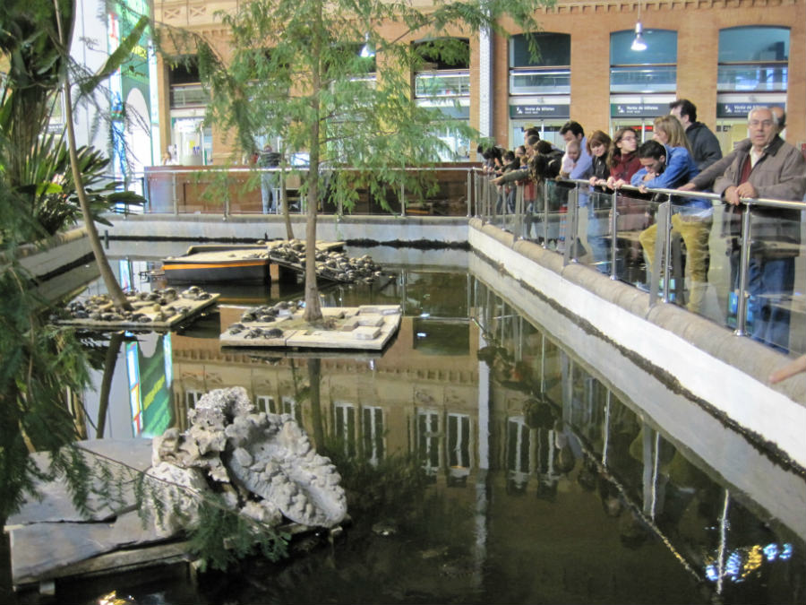 El estanque de la Estación de Atocha está plagado de tortugas