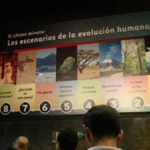 Dinópolis cuenta con varias áreas temáticas sobre dinosaurios