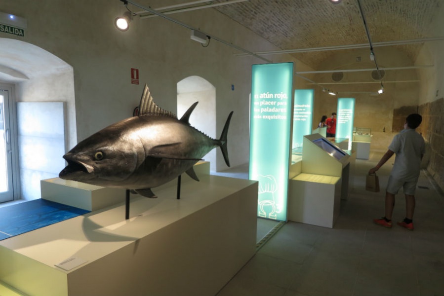 Museo del Atún de Almadraba, en Conil
