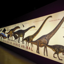 Titania, en Riodeva (Teruel), está dedicado a dinosaurios gigantes