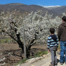 Visitamos el Valle del Jerte con los niños