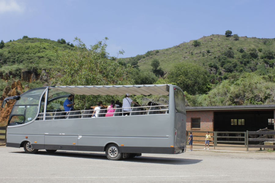Bus de visita guiada en Cabárceno