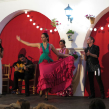 Flamenco en el Patio, espectáculo de flamenco para niños en Conil
