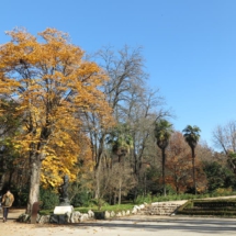 Panorámica del Campo del Moro, en Madrid, en Otoño