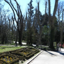 Jardines del Campo del Moro