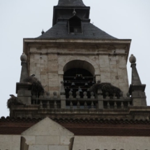 Torre con cigüeñas en Alcalá de Henares