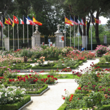 Rosaleda del Parque del Oeste de Madrid