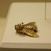 Museo de Cádiz: mosca de oro