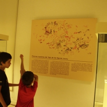 Museo de Cádiz: muy bien explicado