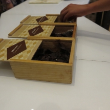 Cata de chocolate en el Museo del Chocolate de Astorga