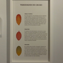 Carte explicativo de los tipos de cacao que se cultivan