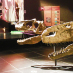 Dinópolis: dinosaurios en Teruel