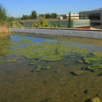 Parque del Agua y recinto de la Expo de Zaragoza