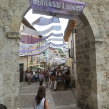 Puerta de la Cadena de Brihuega