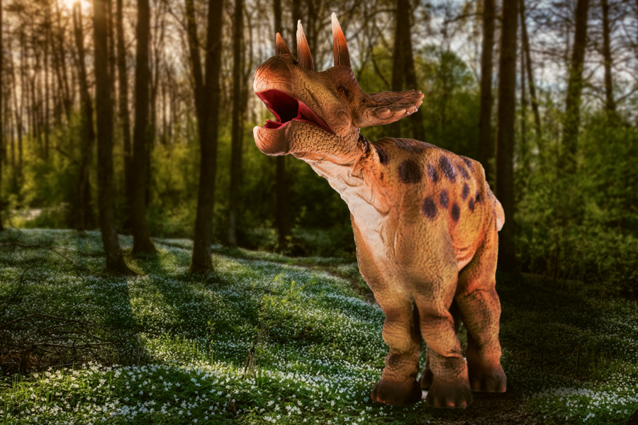 'Jurásico, la Isla Perdida', es una obra de teatro infantilsobre dinosaurios