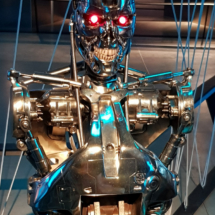 Robot Terminator