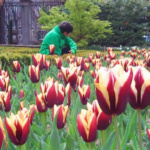 Así es una visita al Real Jardín Botánico de Madrid con peques