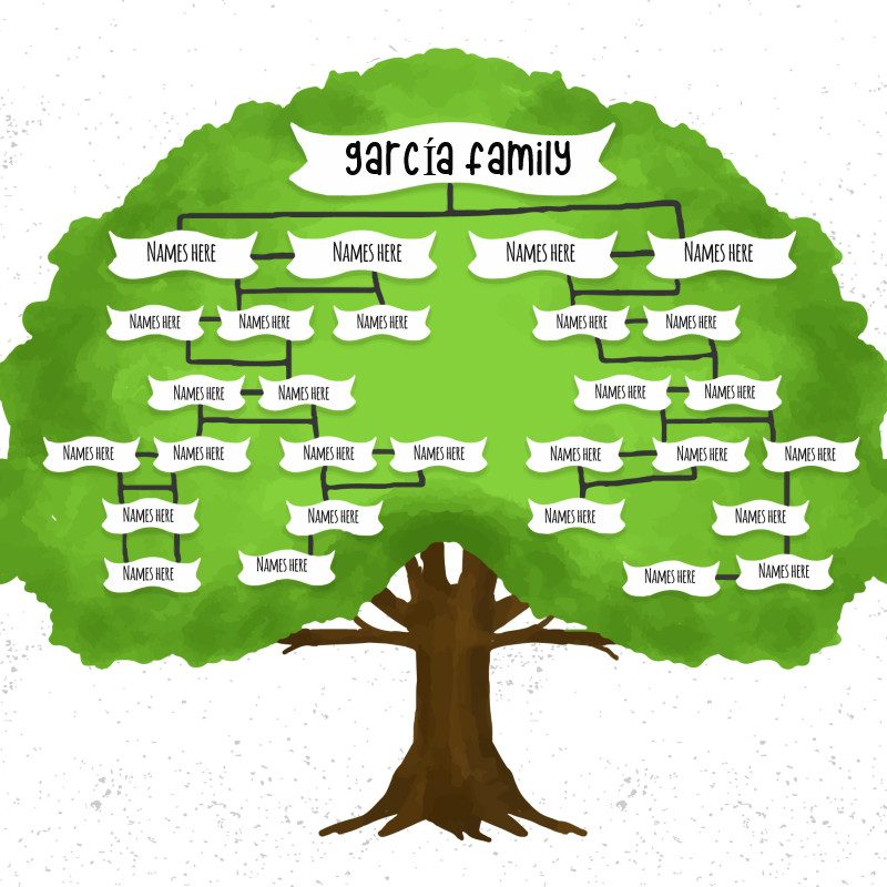 Deportes Cálculo Tamano relativo Cómo hacer el árbol genealógico de la familia - PlanesConHijos.com