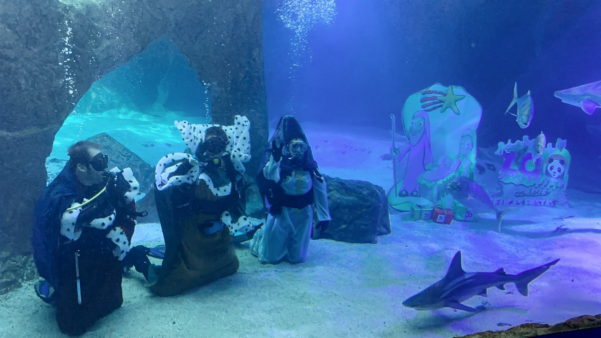 El Zoo de Madrid celebra las navidades con un belén de tiburones