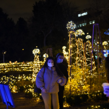 Espectáculo luminoso nocturno en el Real Jardín Botánico